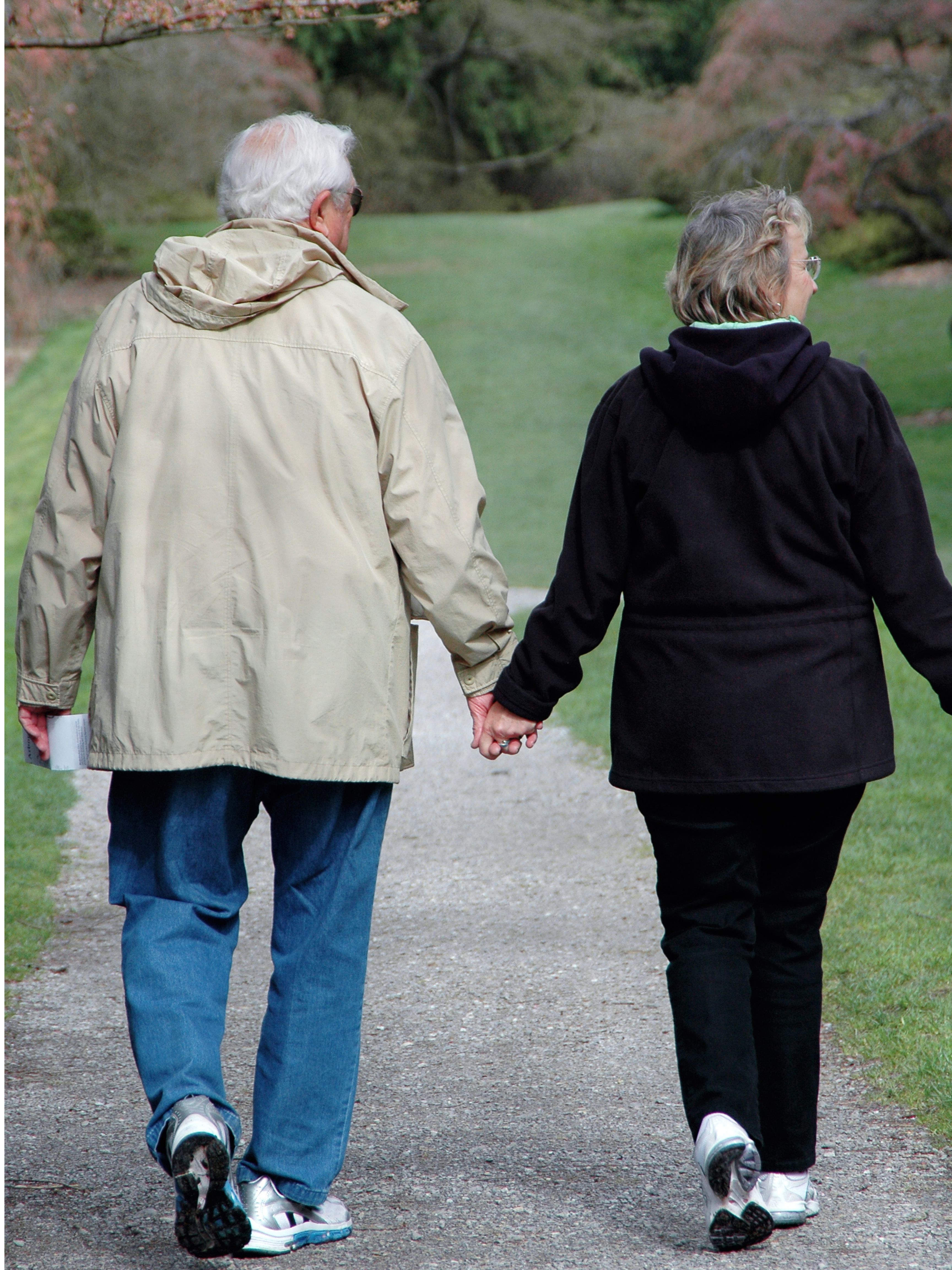 retirement income worksheet and timeline